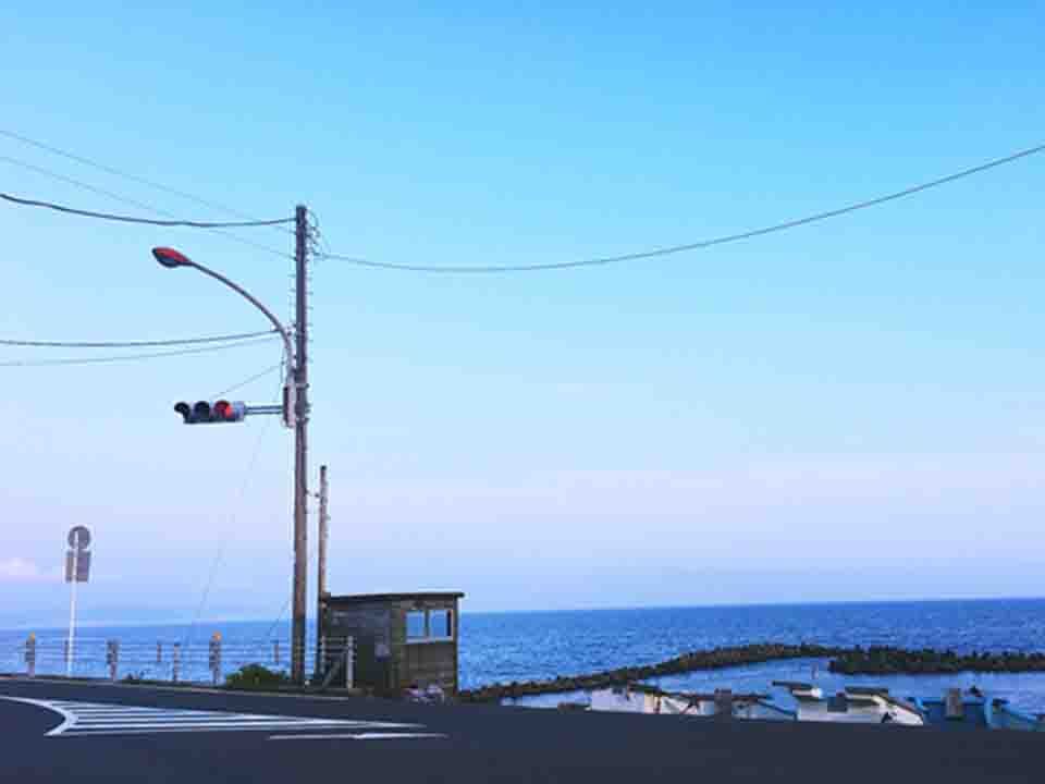 国际03.jpg