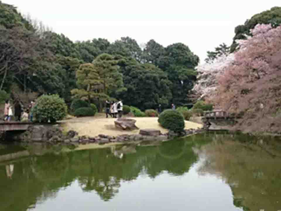 w020190722500161159767.jpg