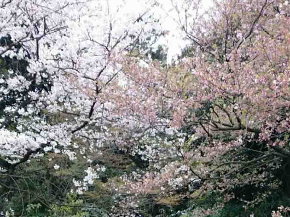 w020190722494989462941.jpg